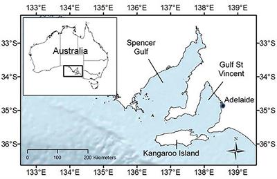 Extreme Effects of Extreme Disturbances: A Simulation Approach to Assess Population Specific Responses